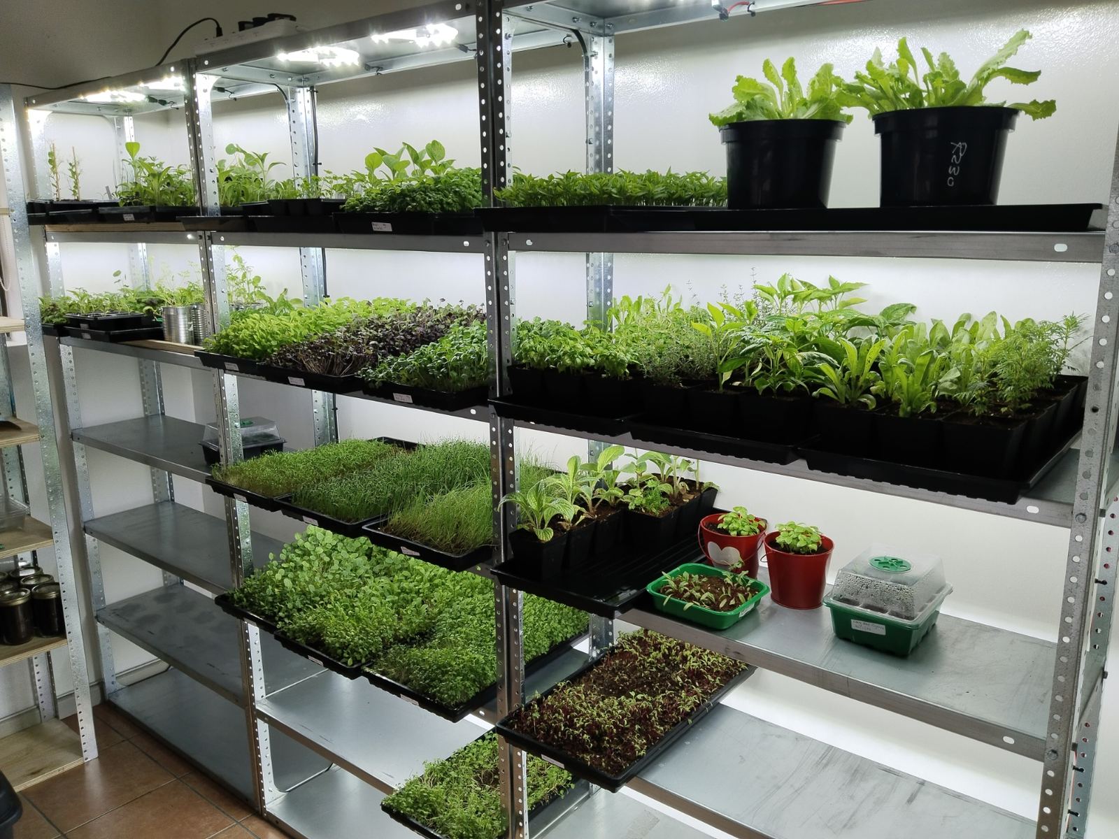 Plant Research welcome visual