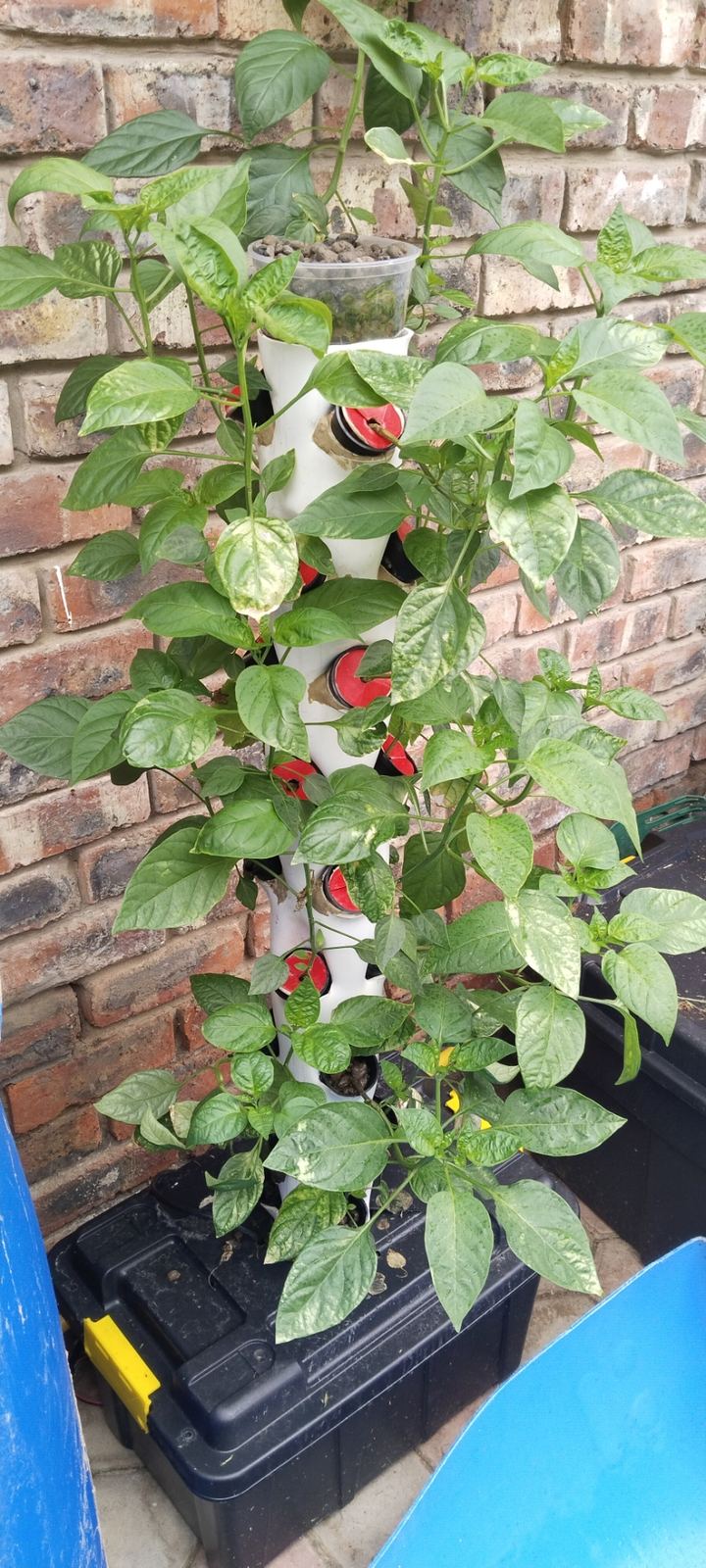 Vertical Hydroponic Tower