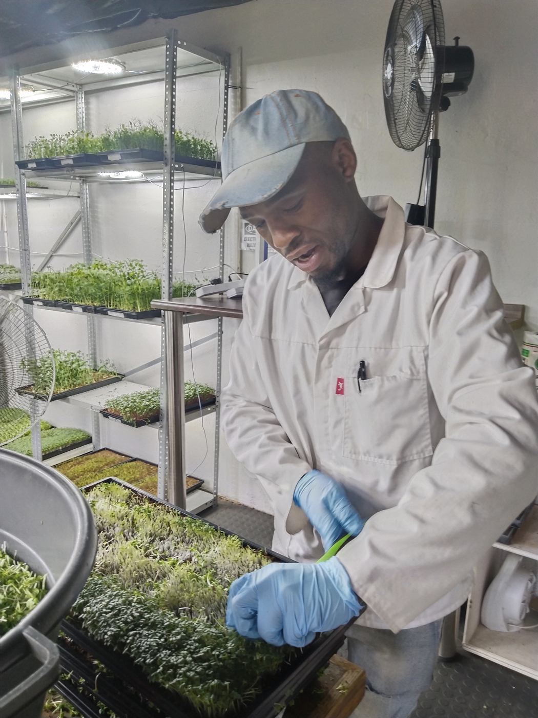 Educator-led Harvest Skills
